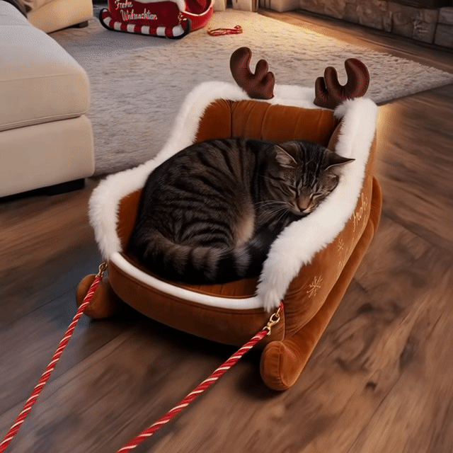 Katze schläft im Rentier-Schlitten